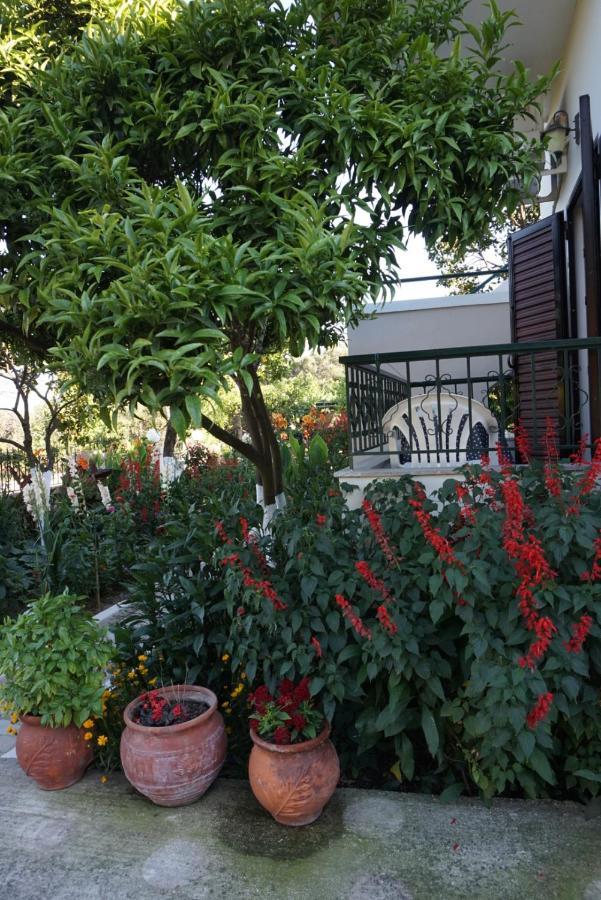 Villa Nikolaou Parga Exterior photo